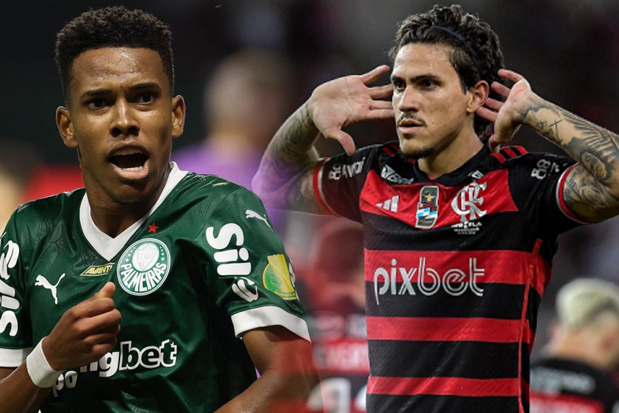 palmeiras x flamengo